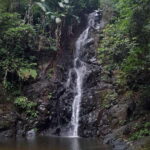 Langkawi: Countryside Bike Tour, Waterfall Swim & Dessert - A Detailed Look at the Langkawi Countryside Bike Tour