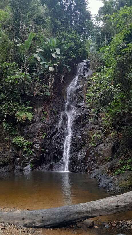 Langkawi: Countryside Bike Tour, Waterfall Swim & Dessert - A Detailed Look at the Langkawi Countryside Bike Tour