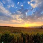 Langkawi : Countryside Cycling Tour - A Closer Look at the Langkawi Countryside Cycling Tour