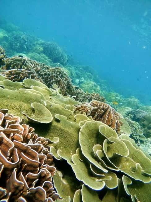 Langkawi: Floating Restaurant & Snorkeling Trip - Authentic Experiences and Balancing Expectations