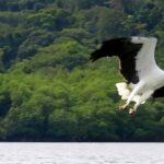 Langkawi: Island Hopping Shared or Private Boat Options - What’s Included and What’s Not