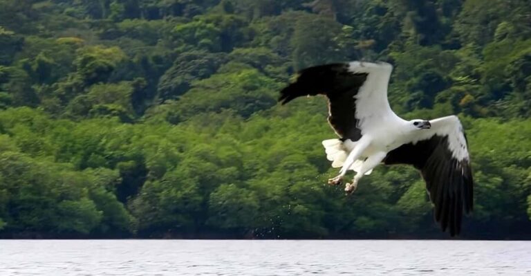 Langkawi: Island Hopping Shared or Private Boat Options - What’s Included and What’s Not