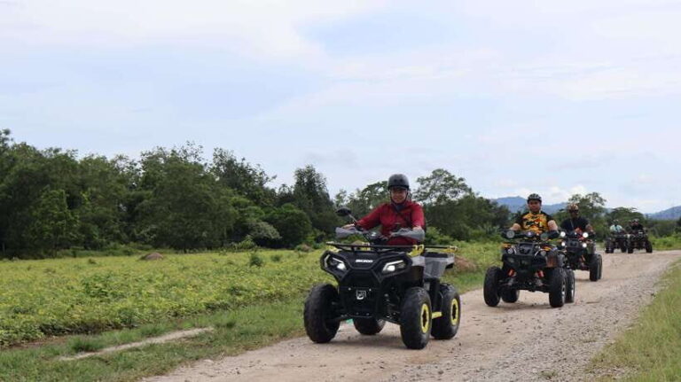 Langkawi Jungle and Waterfall Adventure - What to Expect During the Tour