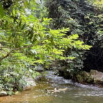 Langkawi Jungle Trekking & Live Cooking Adventure - Why Choose This Tour?