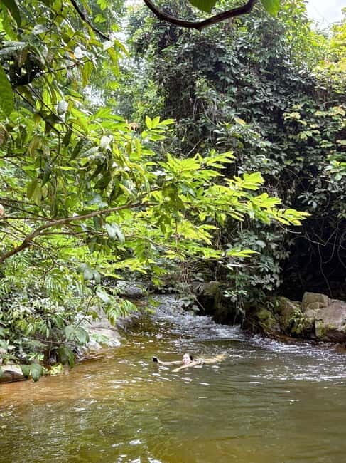 Langkawi Jungle Trekking & Live Cooking Adventure - Why Choose This Tour?