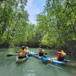 Langkawi : Kilim Mangrove Boat & Fun Kayak Tour with Lunch - Authentic Experiences and Traveler Feedback