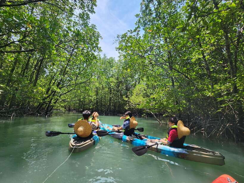 Langkawi : Kilim Mangrove Boat & Fun Kayak Tour with Lunch - Authentic Experiences and Traveler Feedback