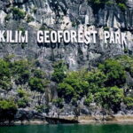 Langkawi Mangrove Boat Tour at Kilim Geoforest Park - A Detailed Look at the Langkawi Mangrove Boat Tour