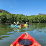Langkawi Mangrove Kayak Tour by Sham - Who Would Love This Tour?