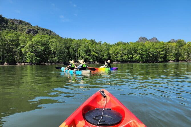 Langkawi Mangrove Kayak Tour by Sham - Who Would Love This Tour?