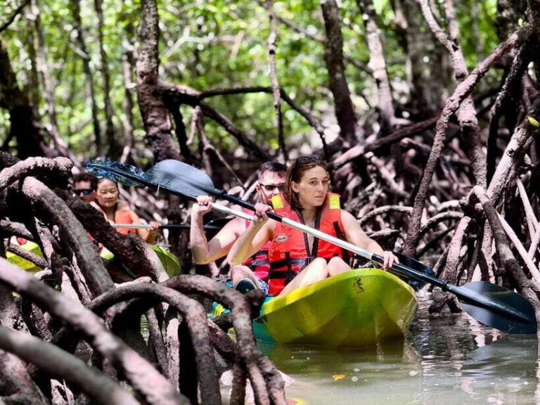Langkawi: Mangrove Kayaking by Farly - An In-Depth Look at the Langkawi Mangrove Kayaking Experience