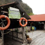 Langkawi: Mangrove River Cruise Sharing 3 Hours - Who Will Love This Tour?