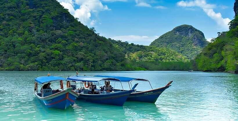 Langkawi: Mangrove Tour with Kilim Geoforest Park & Bat Cave - Why This Tour Matters for Your Trip