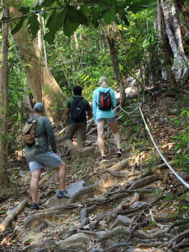 Langkawi: Mount Matchinchang Hiking Tour - What’s Included and What to Prepare For