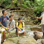 Langkawi Rainforest Jungle Trekking Tour with Private Pickup - What We Like About the Tour