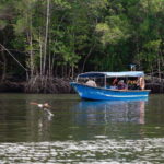 Langkawi Royal Mangrove Tour with Snorkeling Package - Who Will Love This Tour?