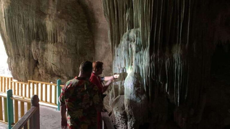 Langkawi Signature Mangrove Discovery Boat Tour (Shared) - Who Will Love This Tour?