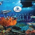 Langkawi: Underwater World Langkawi Entry Ticket - Scheduled Activities and Shows