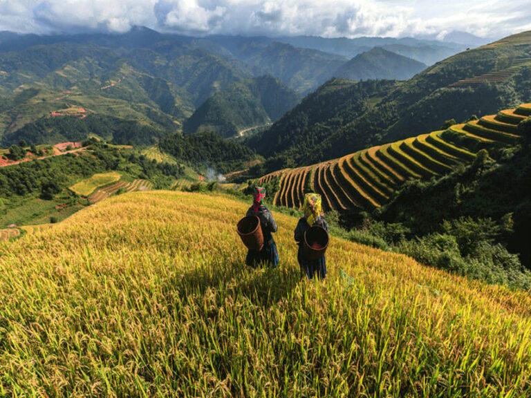 Lao Chai: Full-Day Ta Van Trek Tour from Sapa - What’s Included and What’s Not