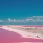 Las Coloradas Amazing Pink Lake & Rio Lagartos from Tulum - Las Coloradas: The Pink Lake