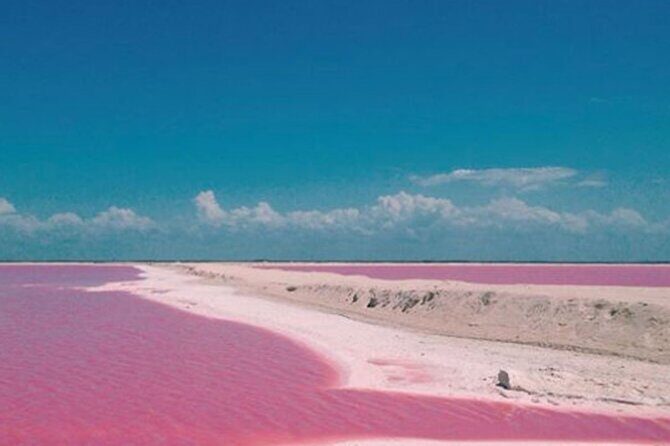 Las Coloradas Amazing Pink Lake & Rio Lagartos from Tulum - Las Coloradas: The Pink Lake
