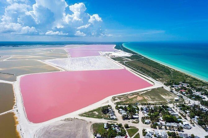 Las Coloradas Tour! Boat Ride, Lunch & Rio Lagartos from Cancun - Authentic, Family-Friendly, and Value-Focused