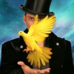 Las Vegas: Allstars Of Magic - An In-Depth Look at the Magic Show