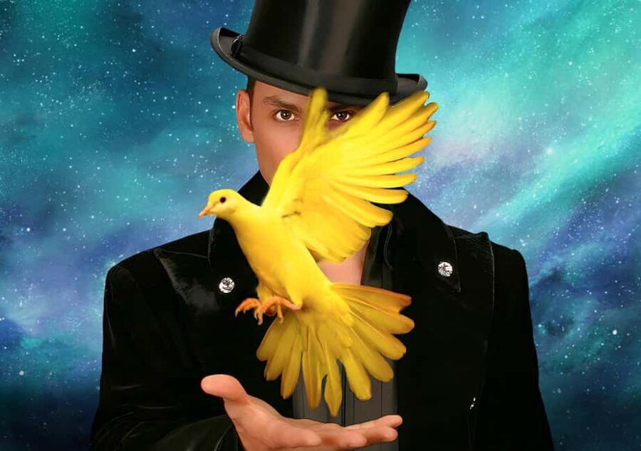 Las Vegas: Allstars Of Magic - An In-Depth Look at the Magic Show