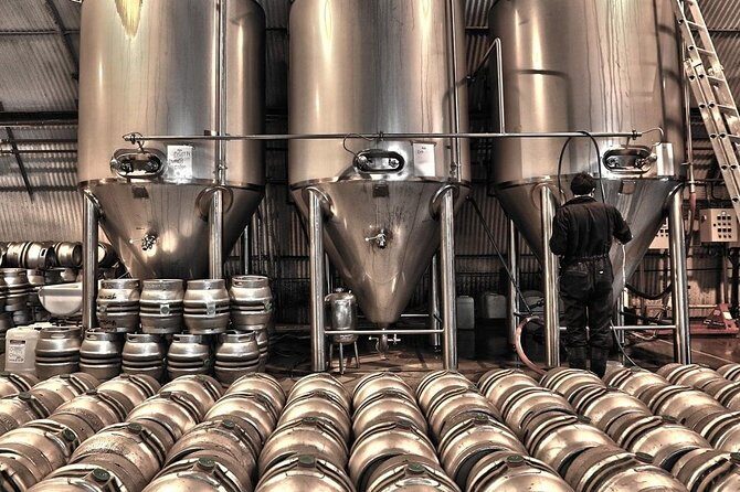 Las Vegas Brewery Tour by Party Bus w/ 3 Flights of Craft Beer - The Experience in Detail