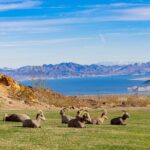 Las Vegas Day Trips: 3-Day Self-Guided Audio Tour - Final Thoughts