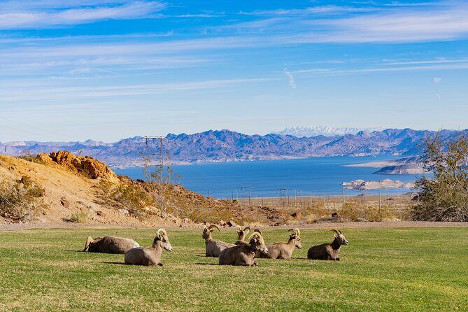 Las Vegas Day Trips: 3-Day Self-Guided Audio Tour - Final Thoughts