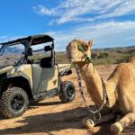 Las Vegas Guided UTV Safari and Zoo Tour - Animal Encounters and the Zoo Experience