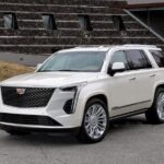 Las Vegas: LAS Airport to Downtown|Strip Hotels Private Transfer - Frequently Asked Questions