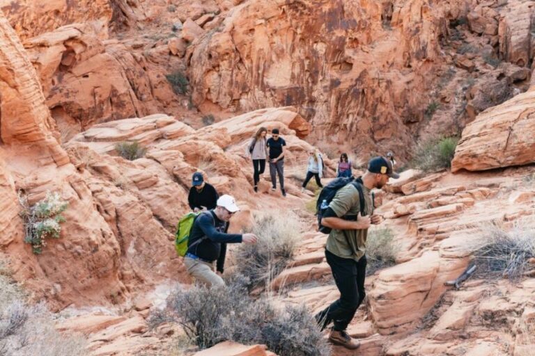 Las Vegas: Valley of Fire Guided Hike with Drinks and Snacks - Why Choose This Tour?