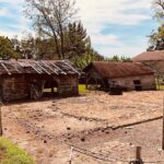 Laura Plantation Half-Day Tour from New Orleans - A Detailed Look at What You’ll Experience