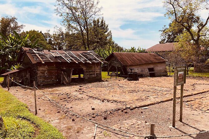 Laura Plantation Half-Day Tour from New Orleans - A Detailed Look at What You’ll Experience