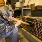 Learn Caregiving at Japan's Most Unique Nursing Home - The Innovation Behind the Facility