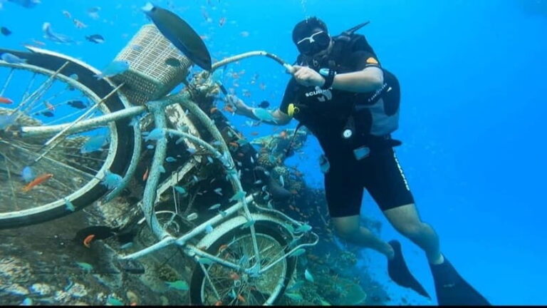 Learn Diving in Maldives - Key Points