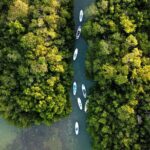 Learn Paddle Board and Explore the Mangroves of Progreso - Value and Practicalities