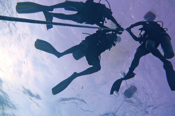 Learn to Dive | RAID Open Water 20 Diver Course | Kota Kinabalu - What Makes This Course Special