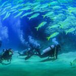 Learn to Scuba Dive in Cabo San Lucas with PADI - A Detailed Look at the Learn to Scuba Dive Experience