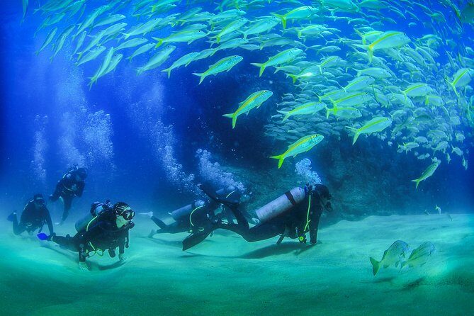 Learn to Scuba Dive in Cabo San Lucas with PADI - A Detailed Look at the Learn to Scuba Dive Experience