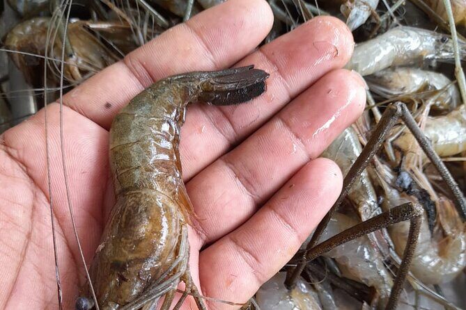 Learn Traditional Kerala Meal in Kumarakom - Why This Experience Is Worth It