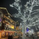 Leavenworth Christmas Lights Tour from Seattle - Who Will Enjoy This Tour?