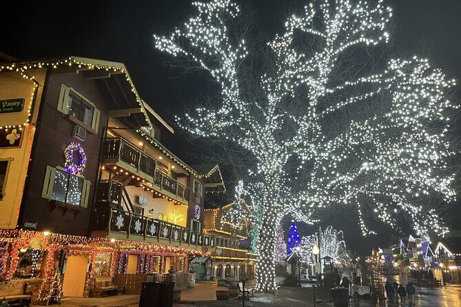 Leavenworth Christmas Lights Tour from Seattle - Who Will Enjoy This Tour?