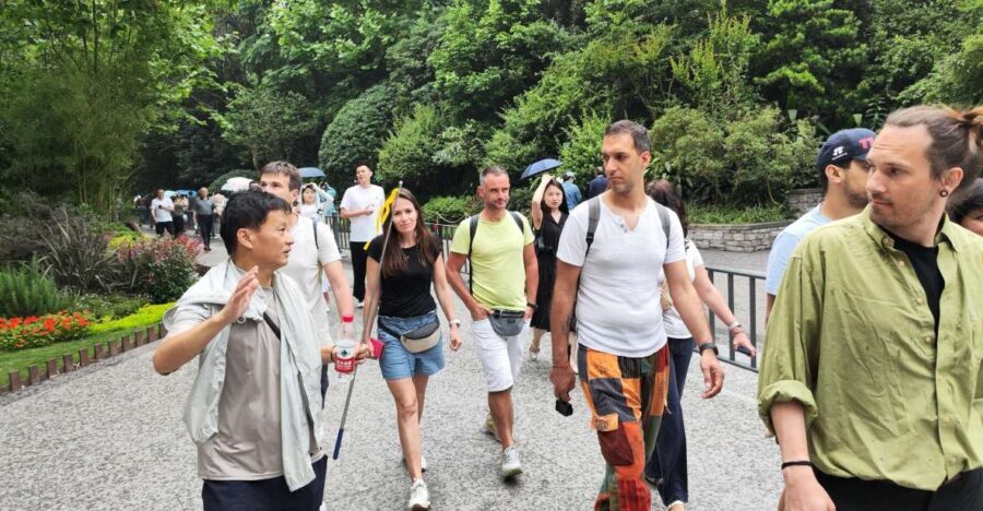 Leshan Grand Buddha Scenic Area and Panda Park Day Tour