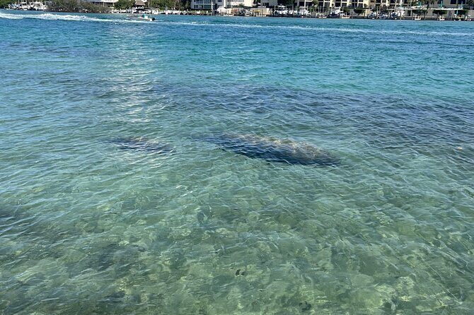 Lets Paddle! Jupiter & surrounding areas - Who Should Consider This Tour?