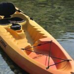 Liberty Bay Wildlife Kayaking - Frequently Asked Questions