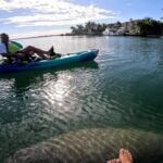 Lido Key Pedal Kayak Tour in Sarasota - Who Should Consider This Tour?
