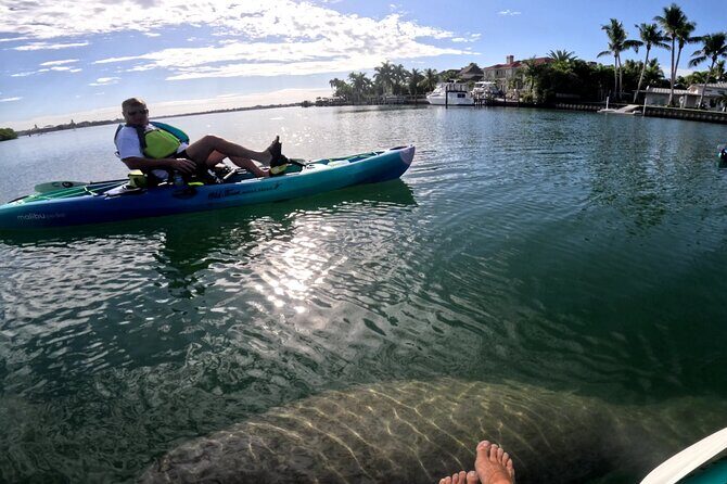 Lido Key Pedal Kayak Tour in Sarasota - Who Should Consider This Tour?